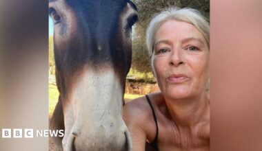 A donkey with a white nose stares into the camera, with a woman stood by him.