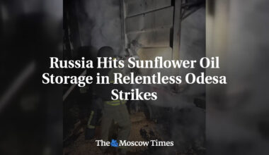 Russia Hits Sunflower Oil Storage in Relentless Odesa Strikes