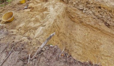 A Single Silver Coin Led To The Uncovering Of One Of The Most Well Preserved Prehistoric Fortresses!