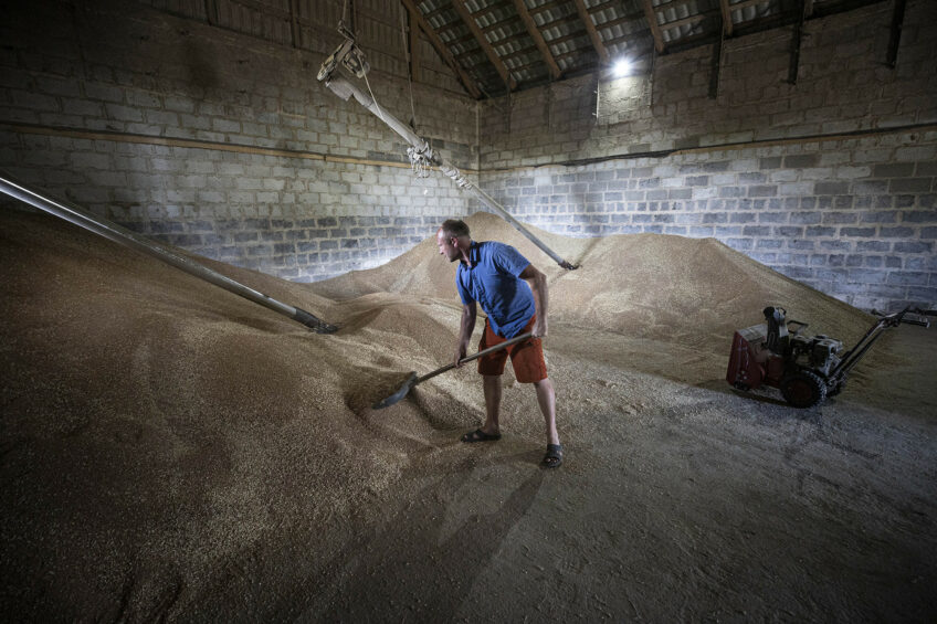 A man processes wheat in Odessa, Ukraine, as Russian-Ukrainian war continues.Photo: ANP / Metin Aktas / Anadolu Agency