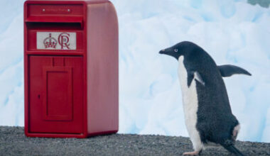 Special delivery for Antarctica - British Antarctic Survey