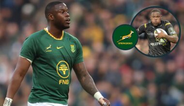 Fassi on Boks 'privilege' Kolisi's 'advice' and how he modelled his game on All Blacks star