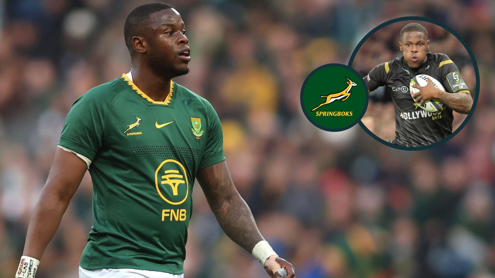 Fassi on Boks 'privilege' Kolisi's 'advice' and how he modelled his game on All Blacks star