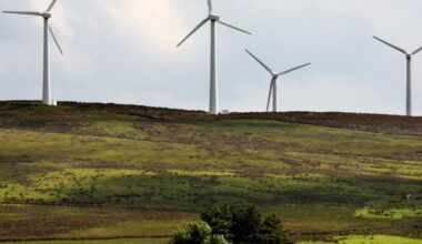 Renewable energy generation in Northern Ireland falls again says report – The Irish News