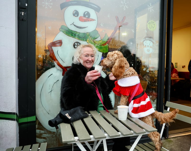 Doggie danders celebrates its one year anniversary in Falls Park in west Belfast. PICTURE: MAL MCCANN