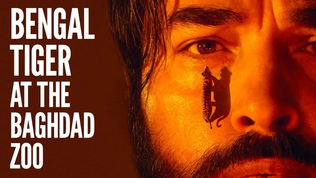 Bengal Tiger at the Baghdad Zoo