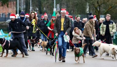 West Belfast’s ‘Doggy Danders’ marks one year of breaking barriers and building community – The Irish News