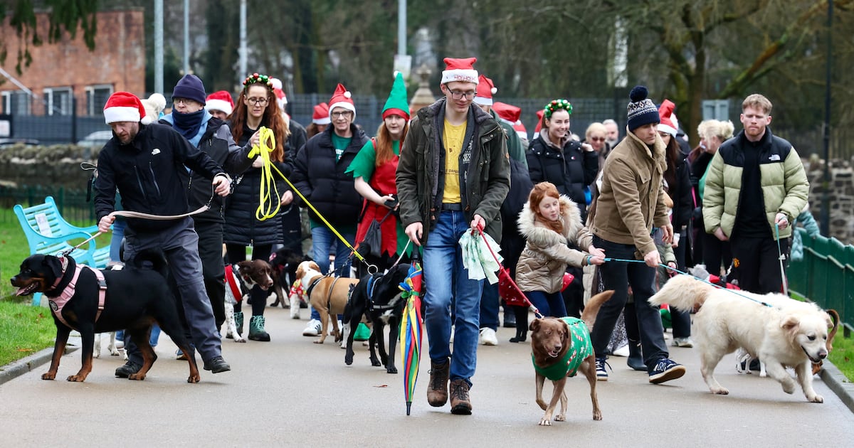 West Belfast’s ‘Doggy Danders’ marks one year of breaking barriers and building community – The Irish News