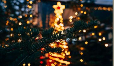 Cold and wind warnings issued for Wales as Christmas stays snow-free