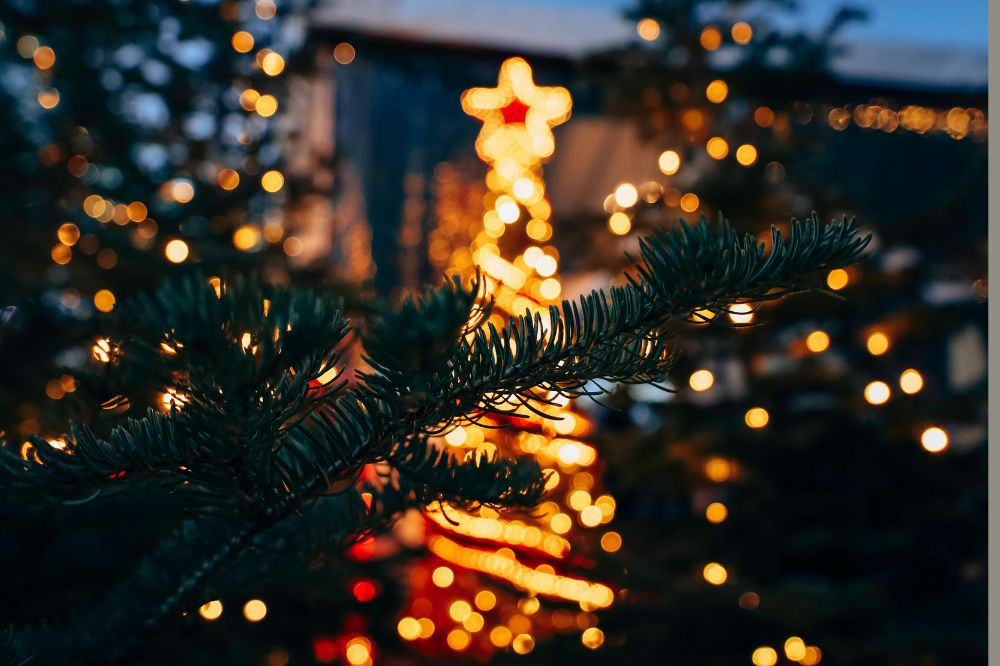 Cold and wind warnings issued for Wales as Christmas stays snow-free