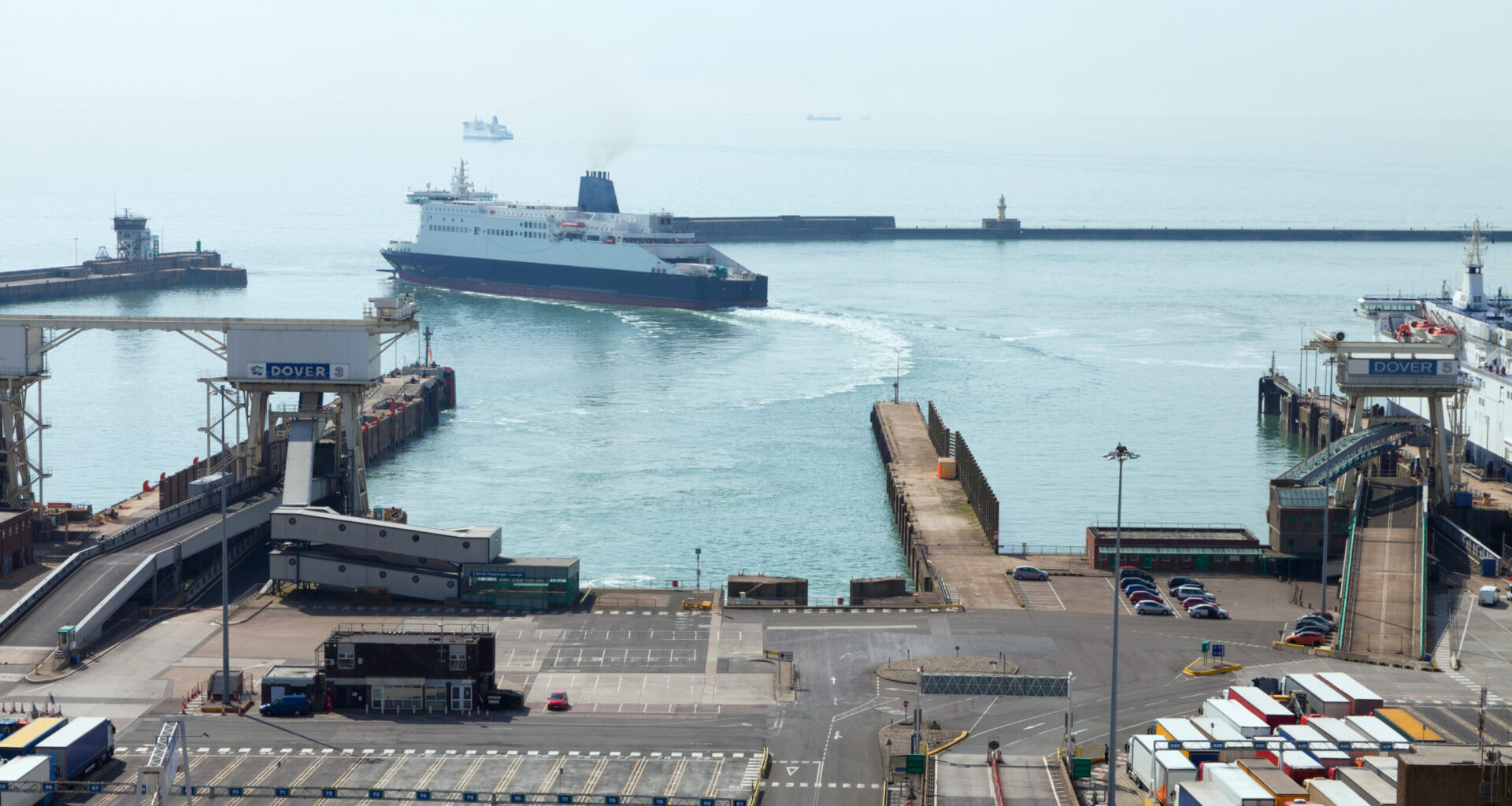 NPA urges government to ensure import controls are robust, after Spain ASF outbreak