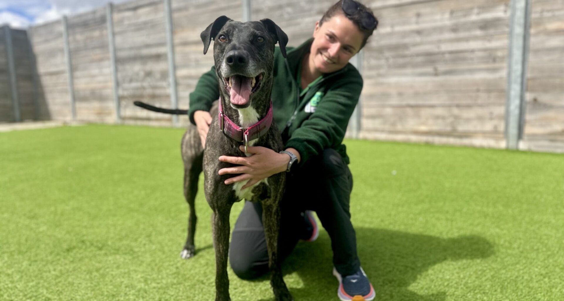 Law firm turns services into lifeline for abandoned pets