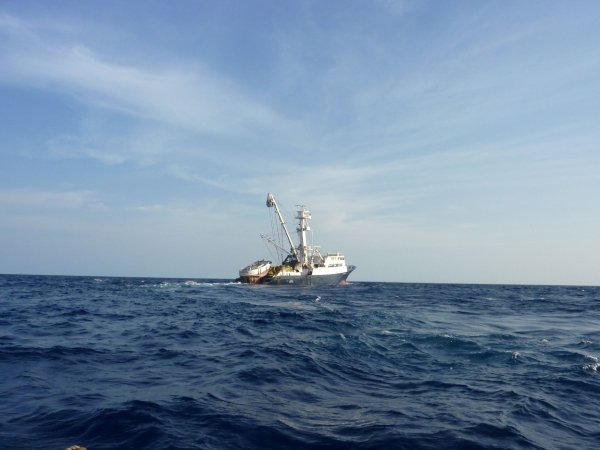 iotc's fad ban MEPs reject Indian Ocean EU fisheries agreement IOTC