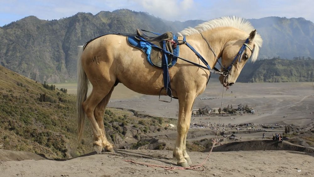 Apple's SHARP can turn a photo into a 3D scene in under a second