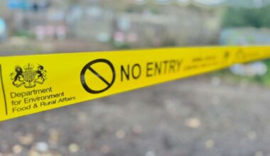 Fourth bird flu outbreak in Kent as additional protection zone put in place at commercial farm in Newington, near Sittingbourne