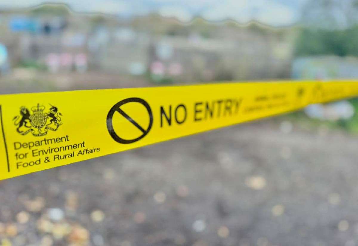 Fourth bird flu outbreak in Kent as additional protection zone put in place at commercial farm in Newington, near Sittingbourne