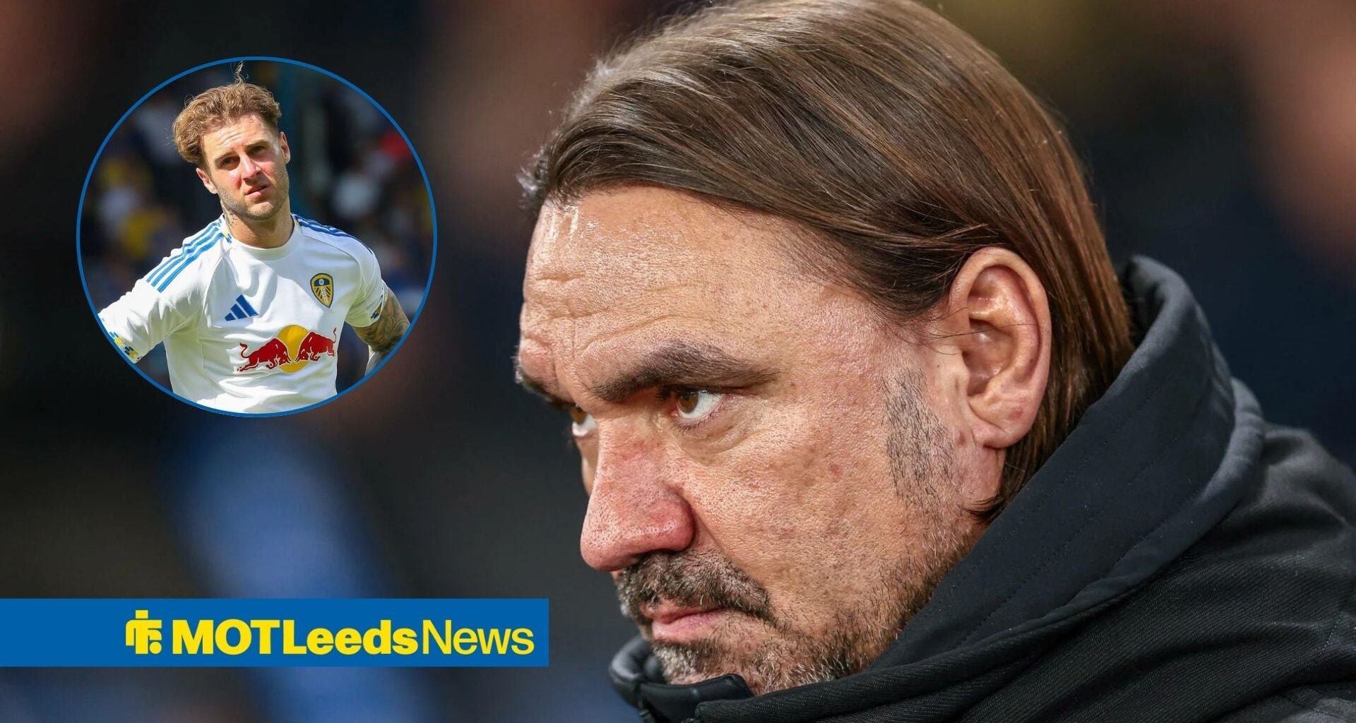 Daniel Farke's priority signing revealed as Leeds line up multiple new arrivals in January