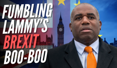 Labour Insiders Doubt Loose-Lipped Lammy Broke Brexit Ranks on Purpose – Guido Fawkes
