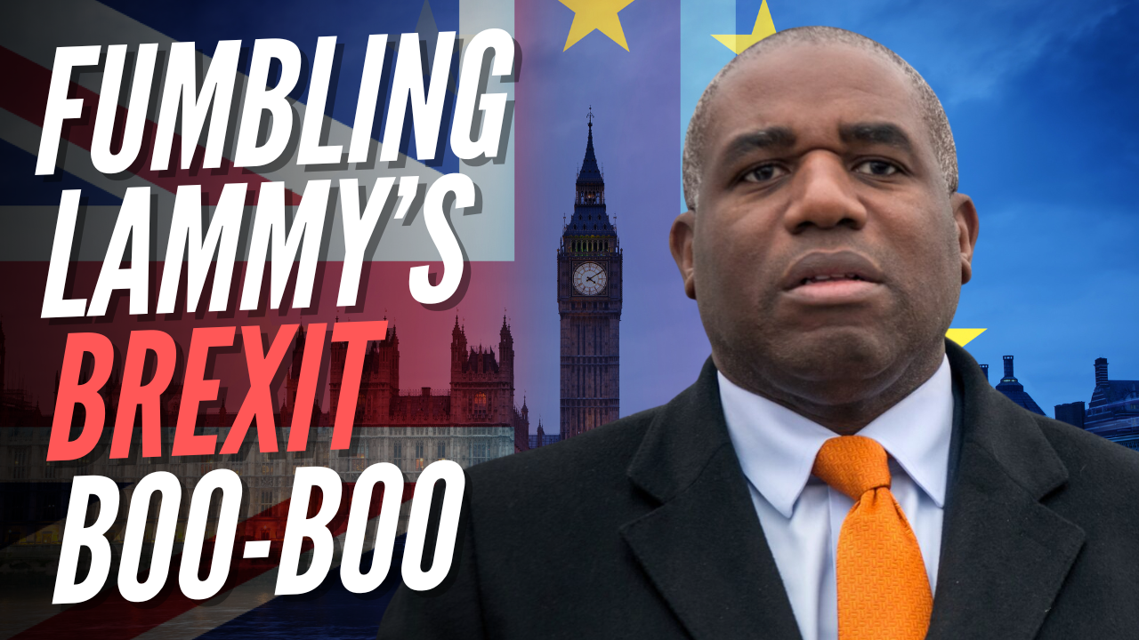 Labour Insiders Doubt Loose-Lipped Lammy Broke Brexit Ranks on Purpose – Guido Fawkes
