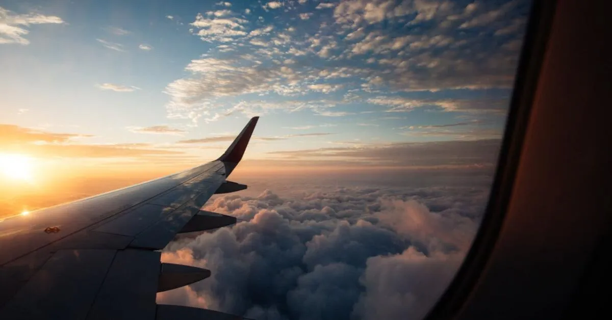 Germany Transfers 141 Afghan Refugees from Pakistan – KabulNow