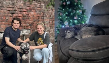 Christmas came early for Rio who’s found a home after seven years in kennels