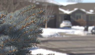 Experts give tips on dealing with seasonal affective disorder