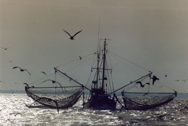 german fishermen baltic quota