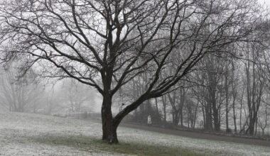 Greater Manchester's Largest Park Has Been Named One Of The Best Places In The UK For A Festive Walk This Christmas