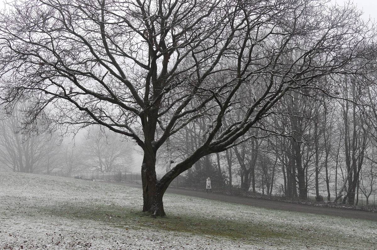 Greater Manchester's Largest Park Has Been Named One Of The Best Places In The UK For A Festive Walk This Christmas