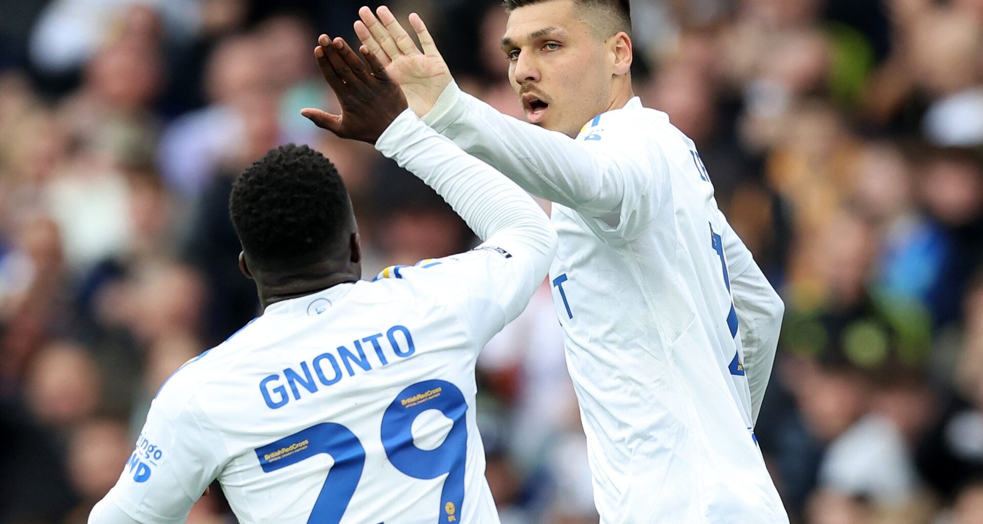 Daniel Farke says Leeds United have a 'world-class' player who can't get in the team