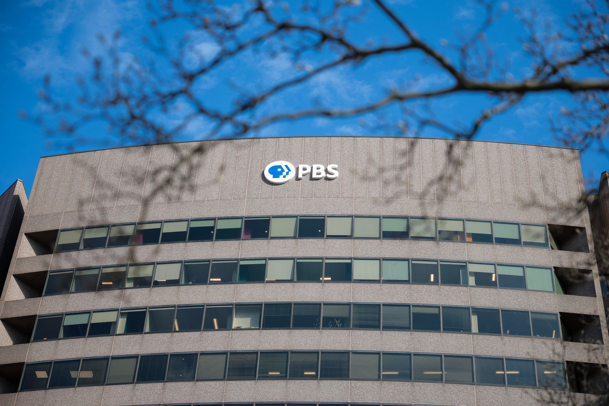 PBS confirmed in an email Thursday that Arkansas is the first state to definitively sever ties with the broadcaster