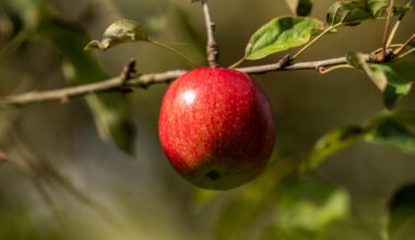 How the EU’s stack of health files was a big win for industry – POLITICO