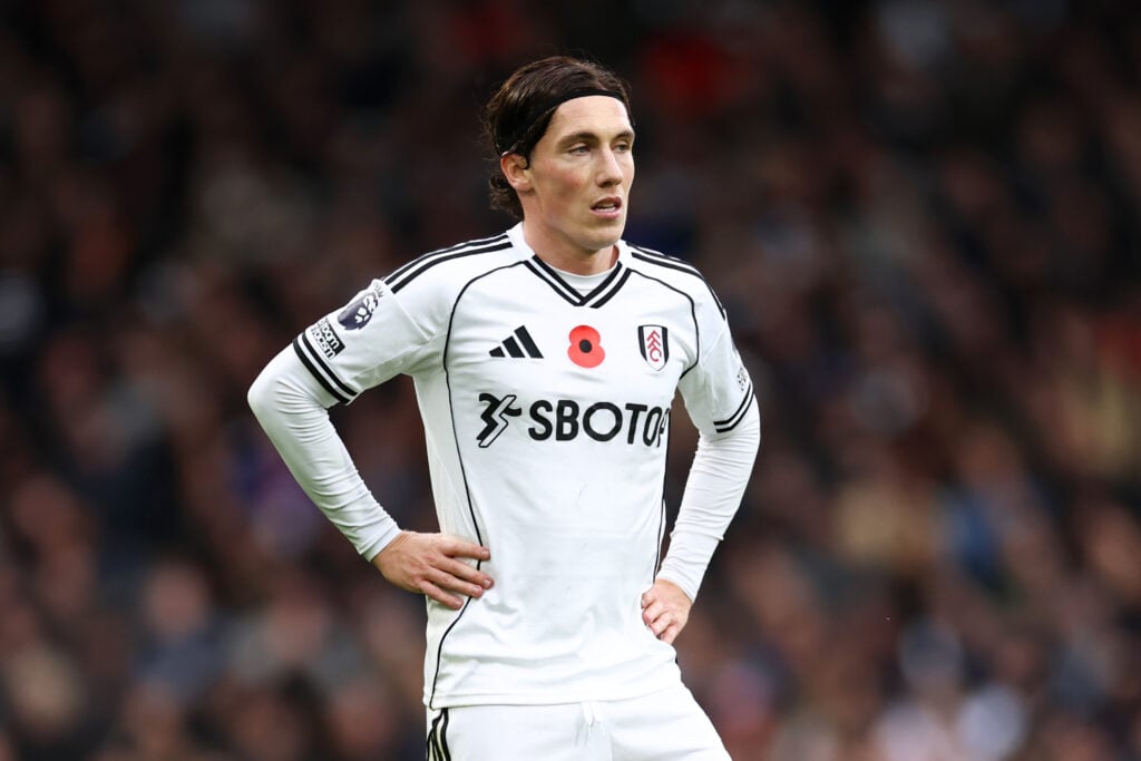 Harry Wilson in action for Fulham.