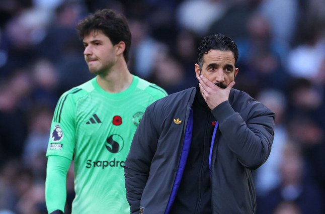 Tottenham Hotspur v Manchester United - Premier League