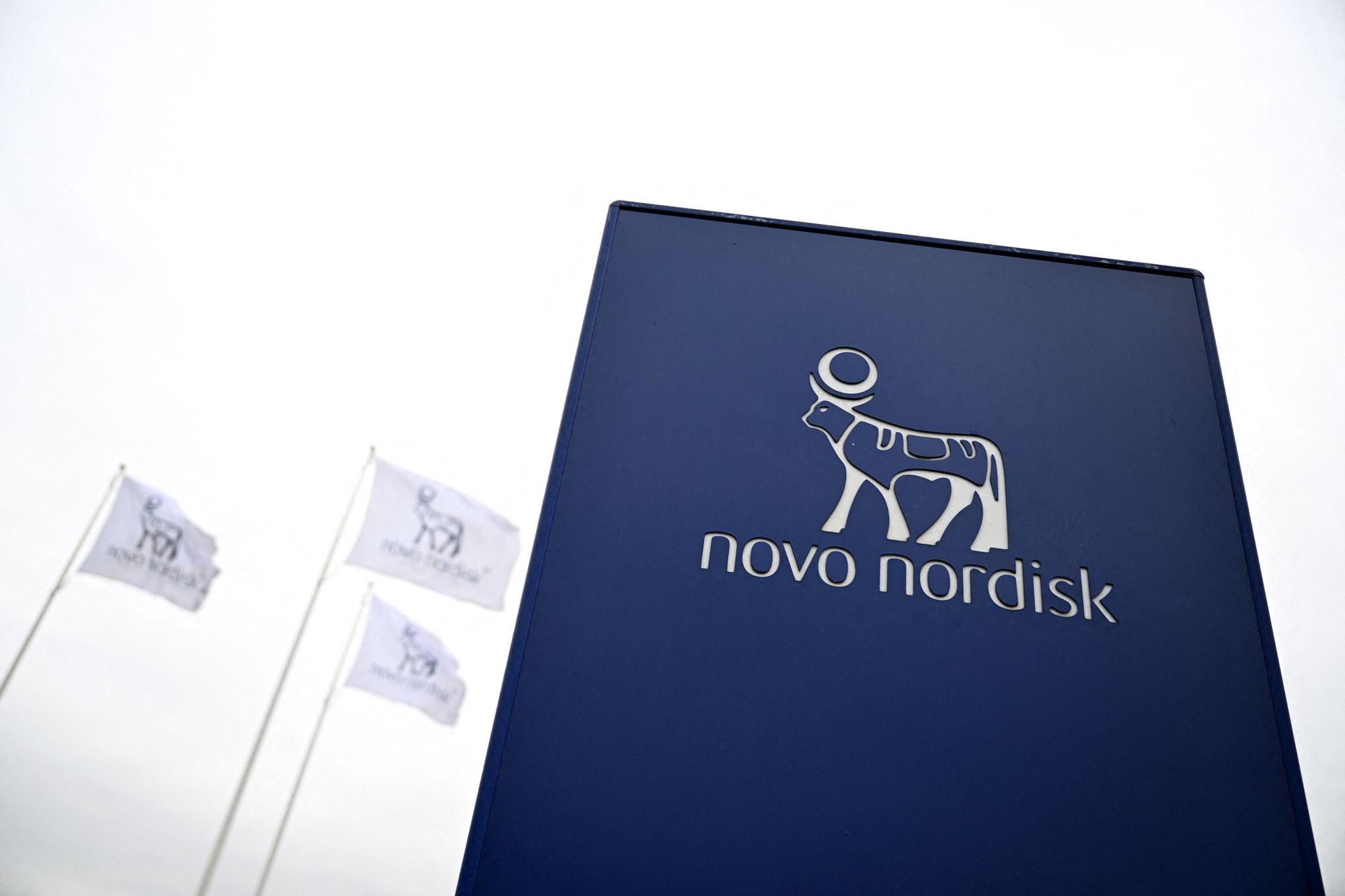The Wegovy pill is expected to generate sales of nearly $2 billion in 2030 for drugmaker Novo Nordisk, according to analysts