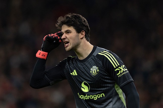 Manchester United v West Ham United - Premier League