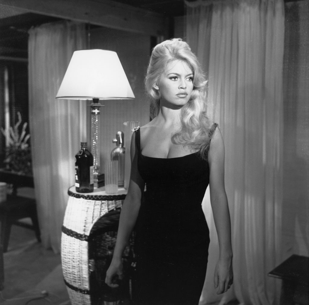 France split over Bardot tribute