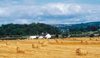 EU’s CAP plan ‘jeopardises’ Irish farming co-ops, warns co-op apex