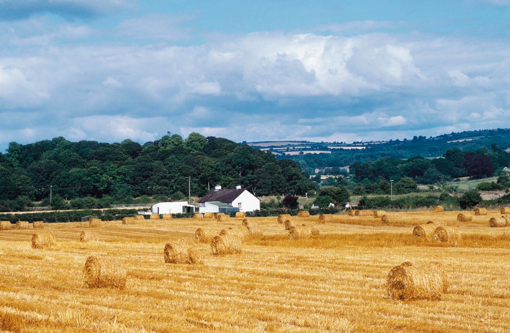 EU’s CAP plan ‘jeopardises’ Irish farming co-ops, warns co-op apex
