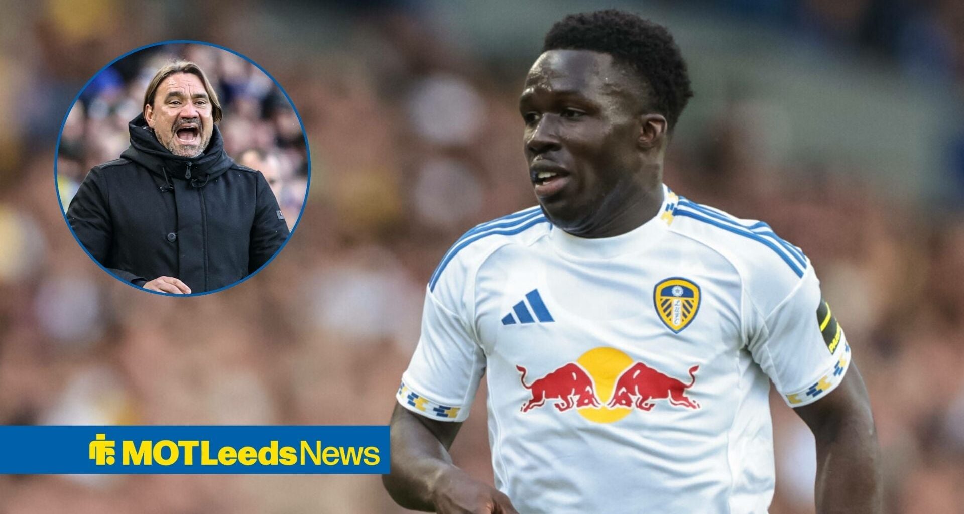 Willy Gnonto lined up for January exit as Leeds United eye attacking signings