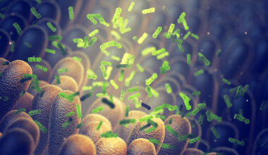 Tiny Molecule Made by Gut Bacteria Could Cut Type 2 Diabetes Risk : ScienceAlert