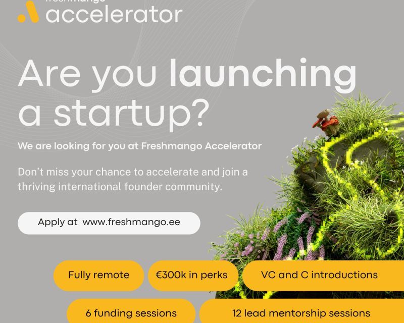 Call for Applications: Freshmango Accelerator 2026 Remote, Equity-Free