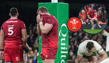 'Honeymoon over' for Steve Tandy as Wales 'review is akin to an obituary'