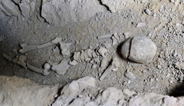 More Than 20 Skeletons Found Under the Tower of London, Including Plague Victims