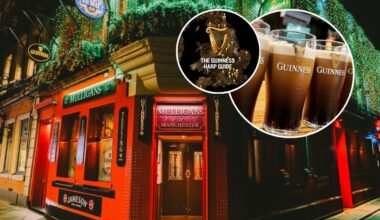 Mulligans lands spot in Guinness’ new 'Harp Guide'
