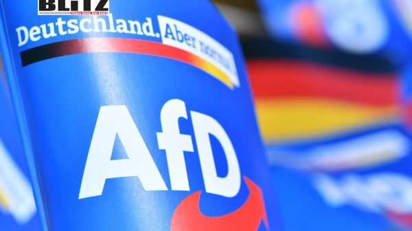 Munich Security Conference, Germany, AfD, NATO Secretary General Jens Stoltenberg, Christian, Social Democrats, Olaf Scholz, US politics, Vice President, Democratic, 