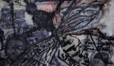 Niontay: Soulja Hate Repellant Album Review