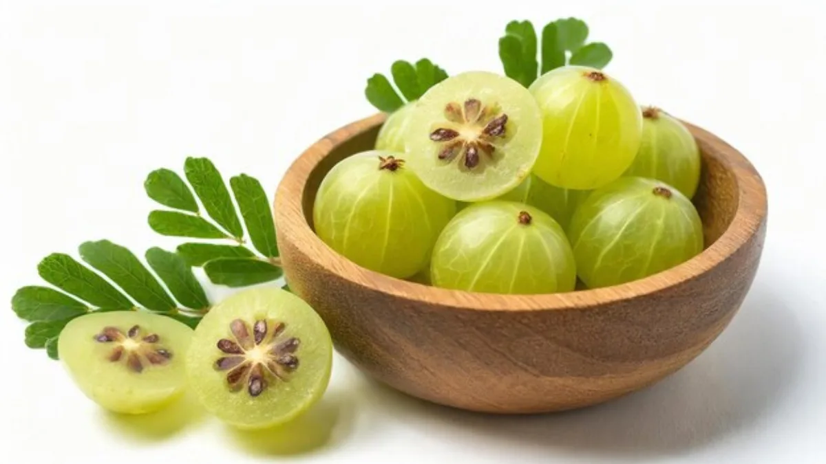 Patanjali research unveils hidden power of amla seeds, changes decades of ayurveda thinking