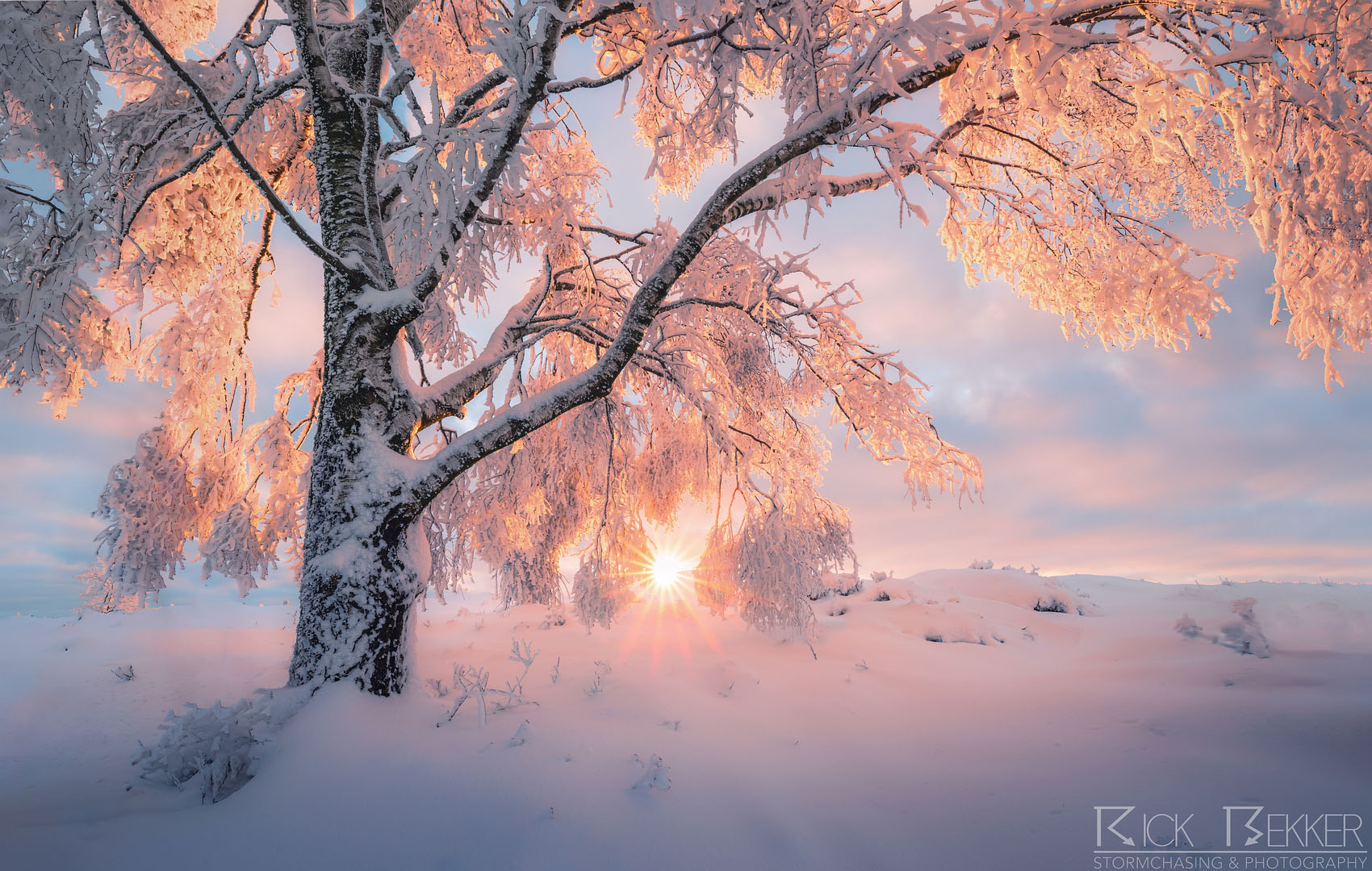 Rick-Bekker-Waking-Up-in-Heaven