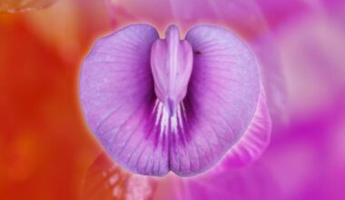 'Ozempic vagina' is here and women are paying £2,000 to reverse it